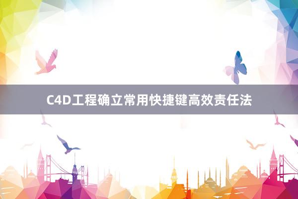 C4D工程确立常用快捷键高效责任法